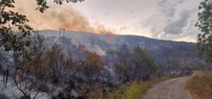 Incendio a Perdifumo, fiamme su un fronte di 150 metri: chiesto elicottero regionale