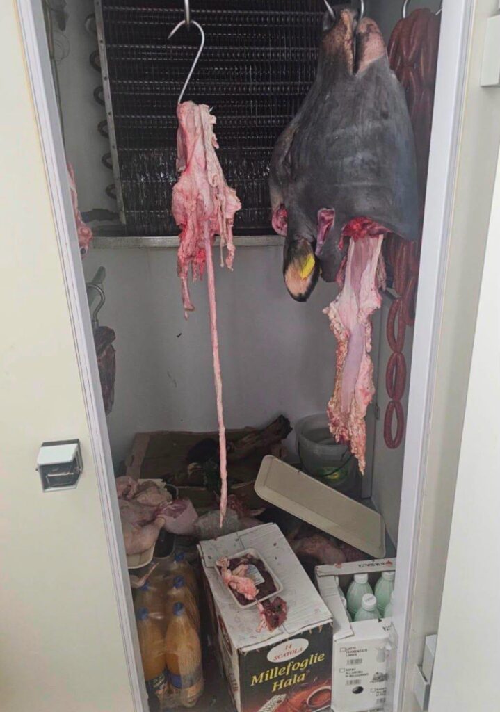 Battipaglia, carni e 700 confezioni di alimenti sotto sequestro