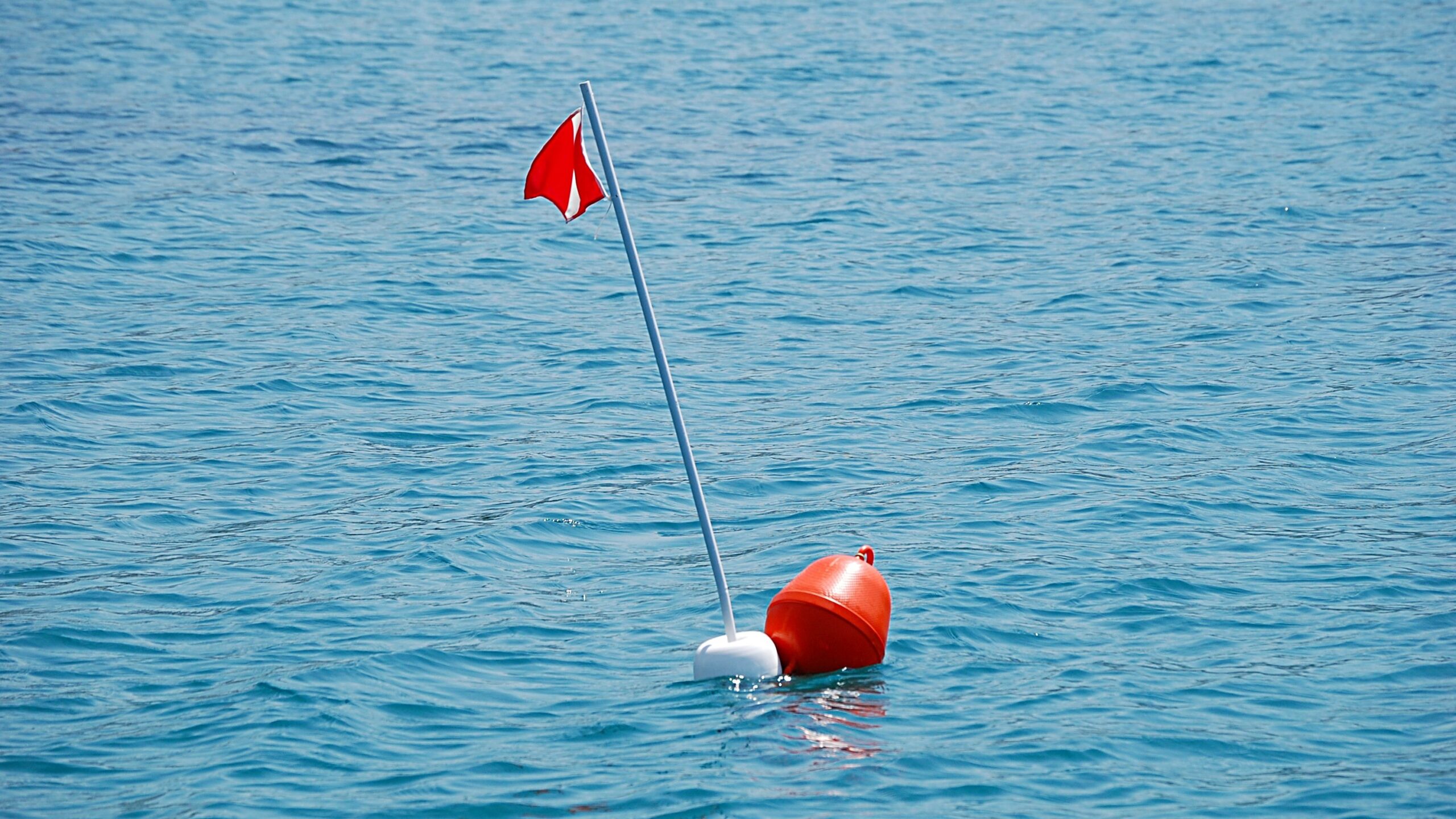 Boe in mare: colori, forme e significati. La guida per imparare a leggerle
