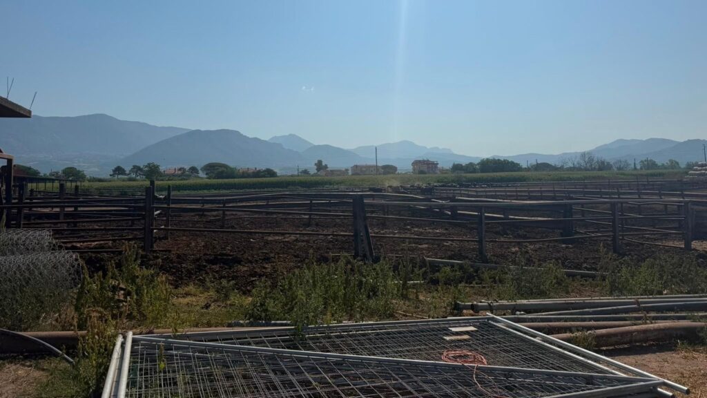Capaccio Paestum, controlli ambientali della polizia locale: sequestrata un’azienda zootecnica