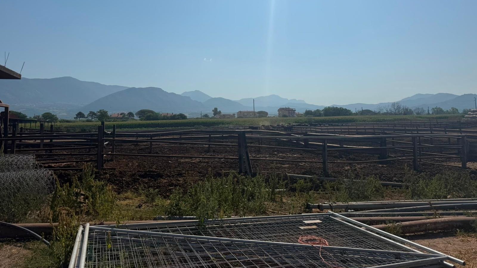 Capaccio Paestum, controlli ambientali della polizia locale: sequestrata un’azienda zootecnica