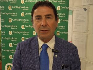 Emergenza cinghiali nel Salernitano, Confagricoltura chiede interventi straordinari