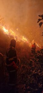Incendio tra Montecorice, Castellabate e Perdifumo: mezzi aerei di nuovo in azione