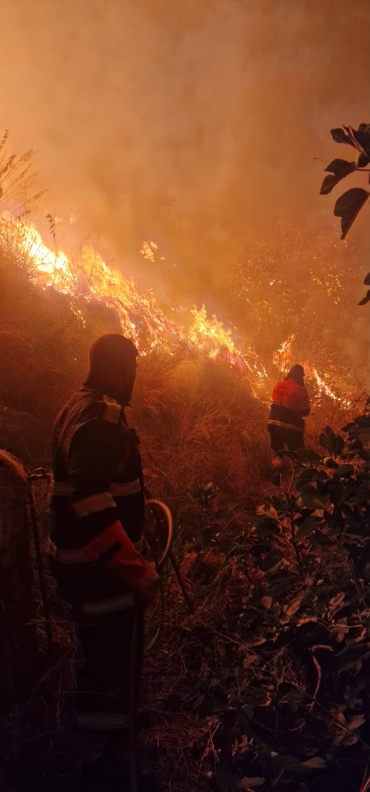 Incendio tra Montecorice, Castellabate e Perdifumo: mezzi aerei di nuovo in azione