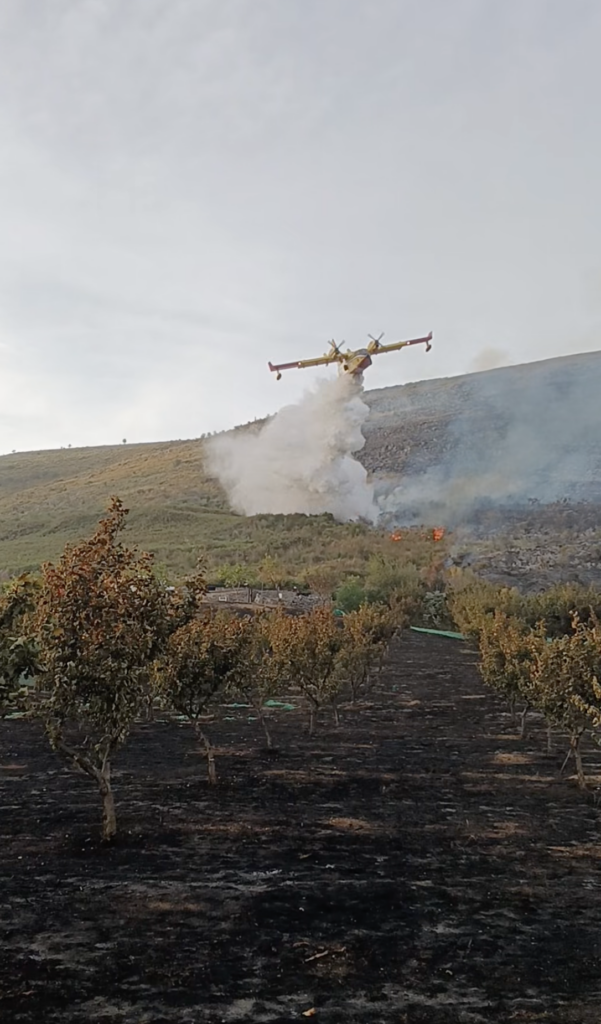 Licusati, incendio sul Bulgheria: gravi danni a un’azienda agricola
