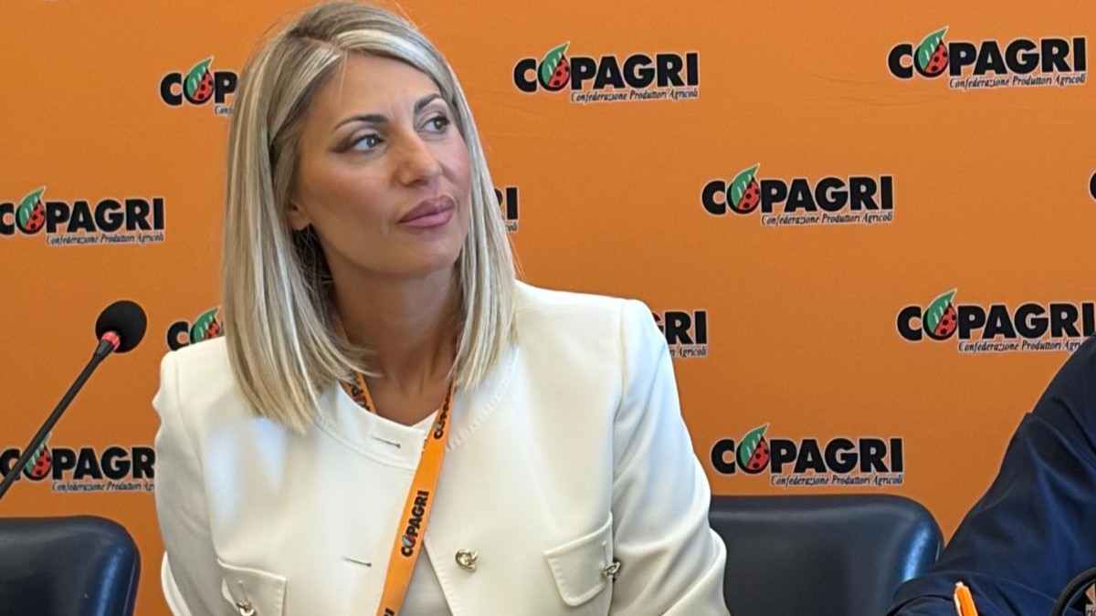 Piani di gestione forestale: Copagri Salerno chiede meno burocrazia e pianificazione reale per aree interne