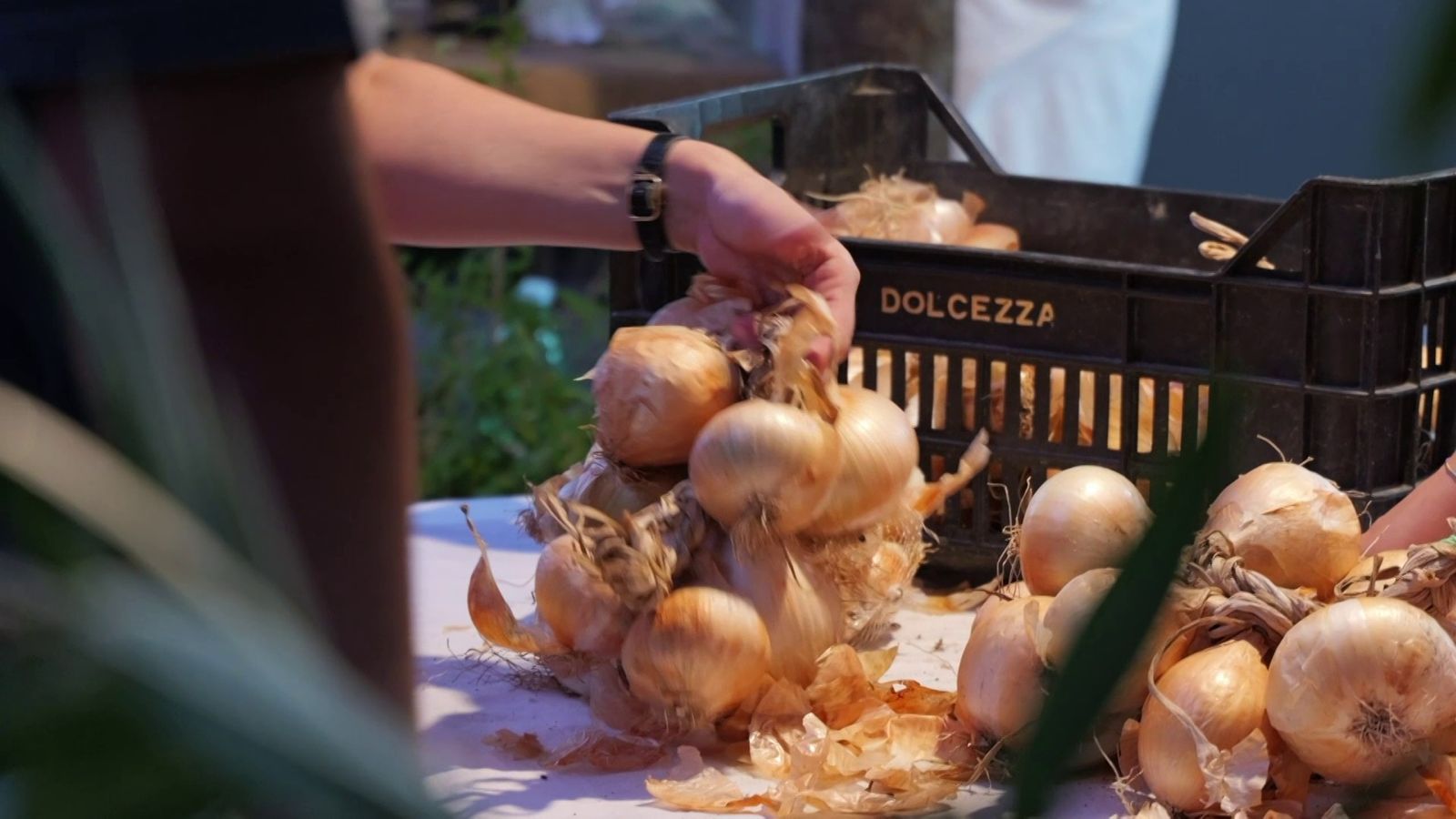 Festa della cipolla di Vatolla, successo per l’XII edizione: la forza dell’autenticità