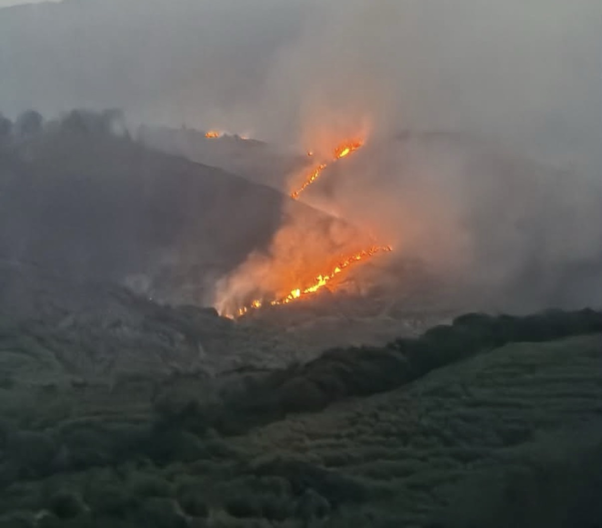 Brucia il Cilento: cinque incendi, in azione anche Canadair ed elicotteri