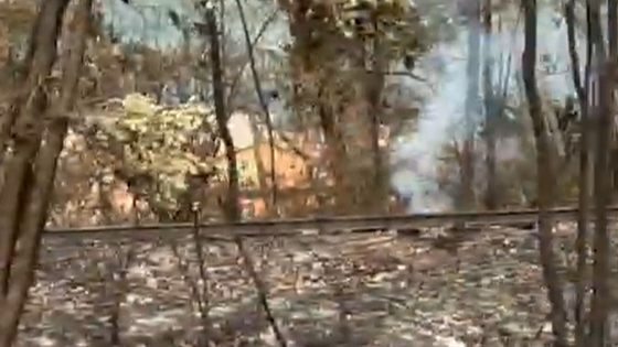 Ancora fiamme a Polla dopo 48 ore: la preoccupazione tra i cittadini