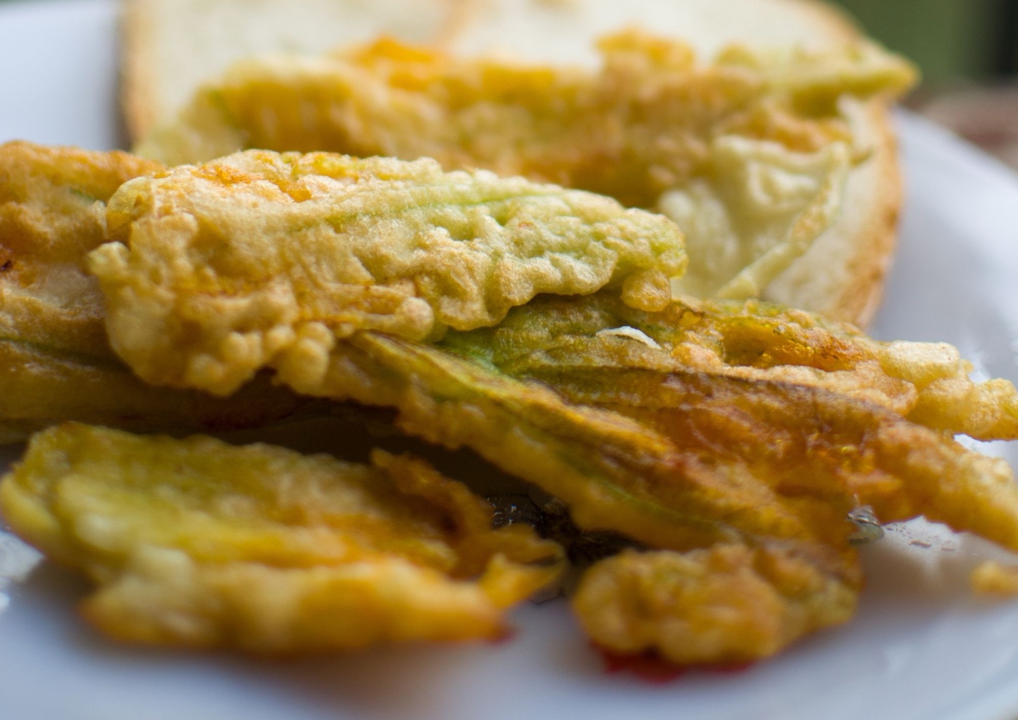 Fiori di zucca fritti, la ricetta dell’estate: croccanti fuori e morbidi dentro