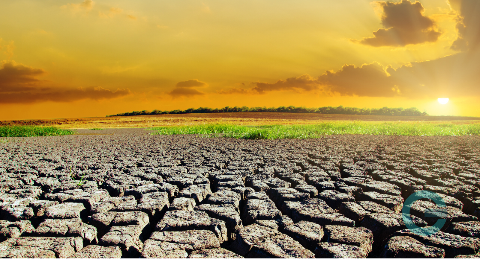 Agricoltura, danni da siccità: le aziende possono accedere agli indennizzi del fondo AgriCat