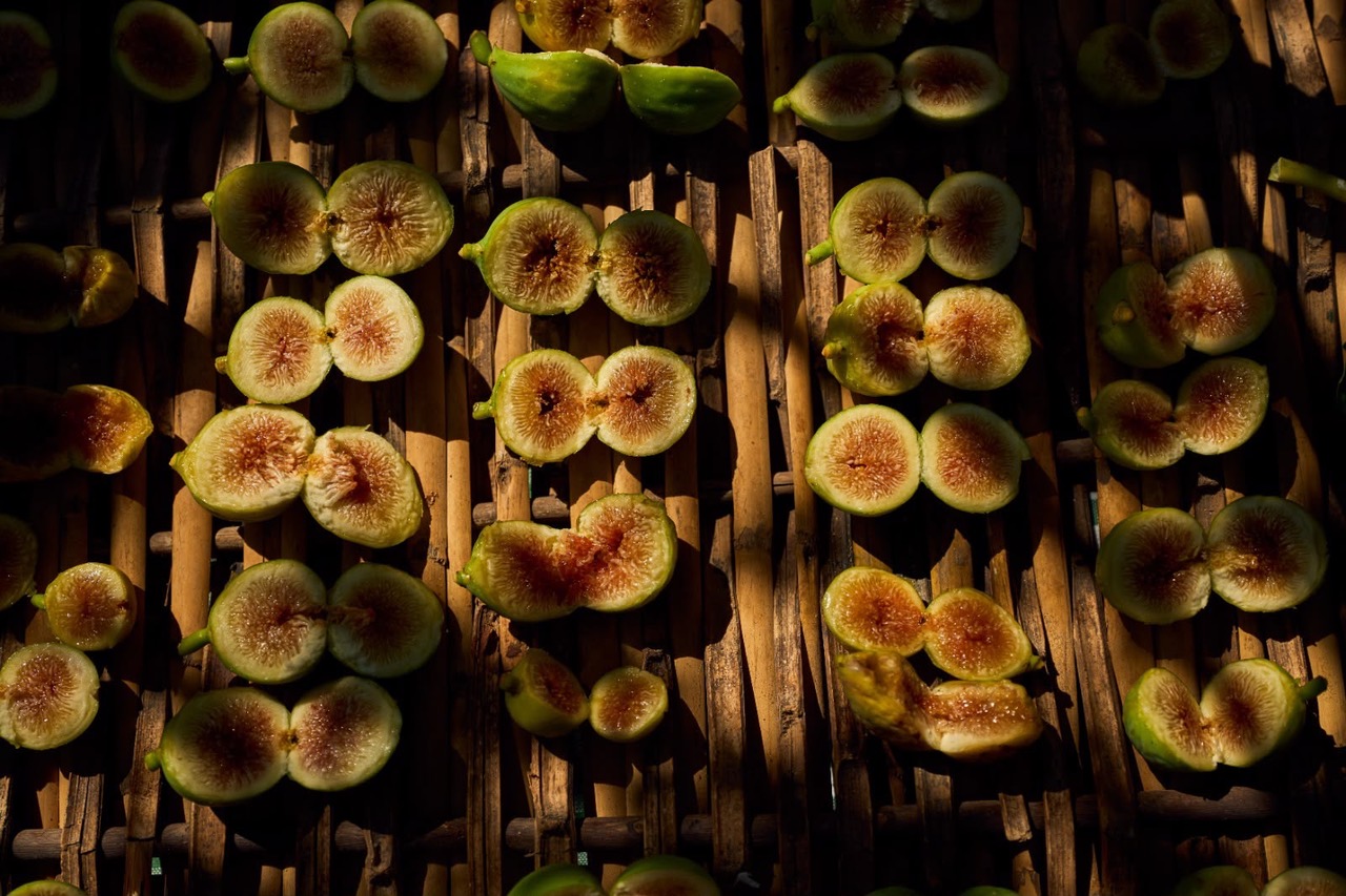 Ficus in Tabula 2026, a Ottati due giorni dedicati al fico Dottato