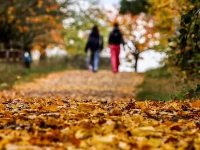 Meteo, temperature in calo e temporali in arrivo
