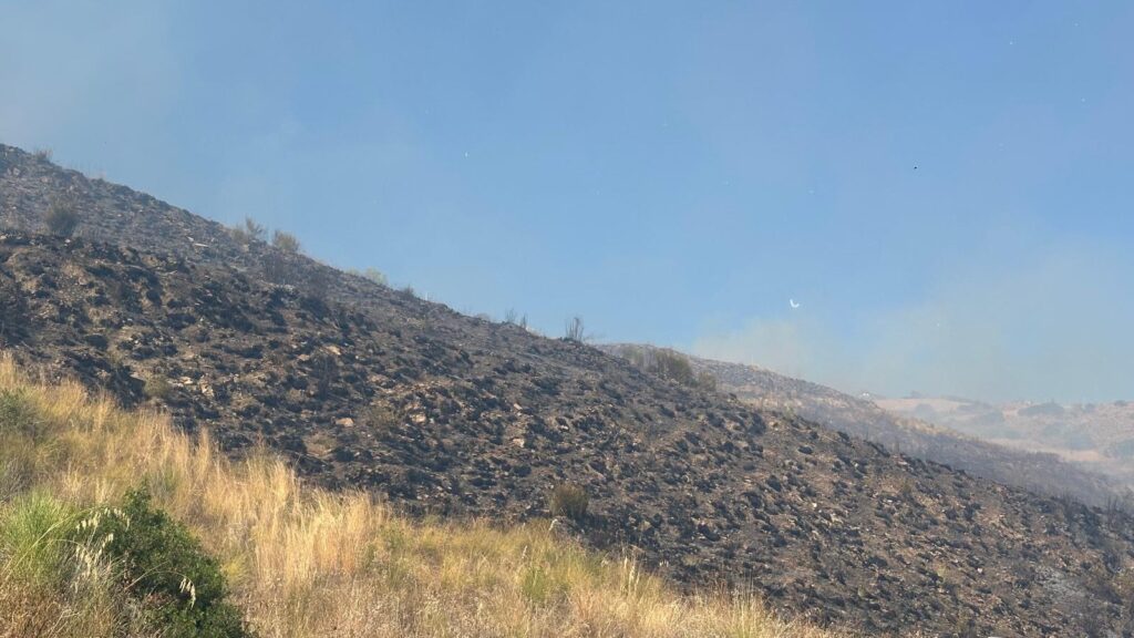 Incendio tra Castellabate e Laureana Cilento, fiamme minacciano le abitazioni