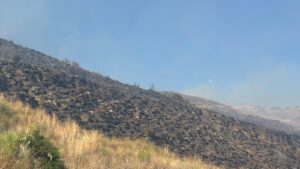 Incendio tra Castellabate e Laureana Cilento, fiamme minacciano le abitazioni