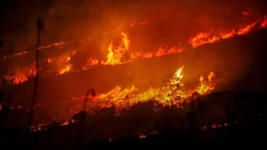 Incendi nel Salernitano, notte di paura: fiamme da Fisciano al Golfo di Policastro