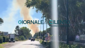 Incendio a Campolongo, densa colonna di fumo visibile a notevole distanza
