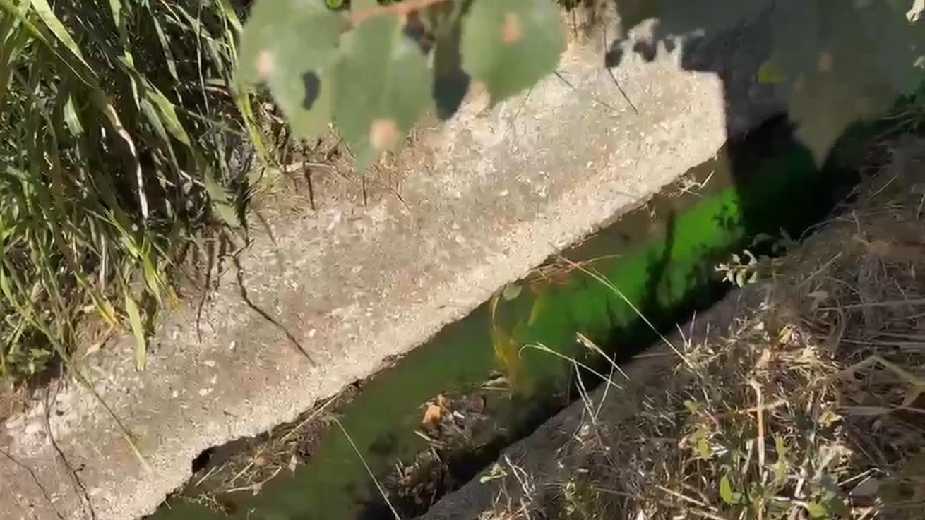 Inquinamento ambientale, sequestrata azienda agricola zootecnica a Capaccio Paestum