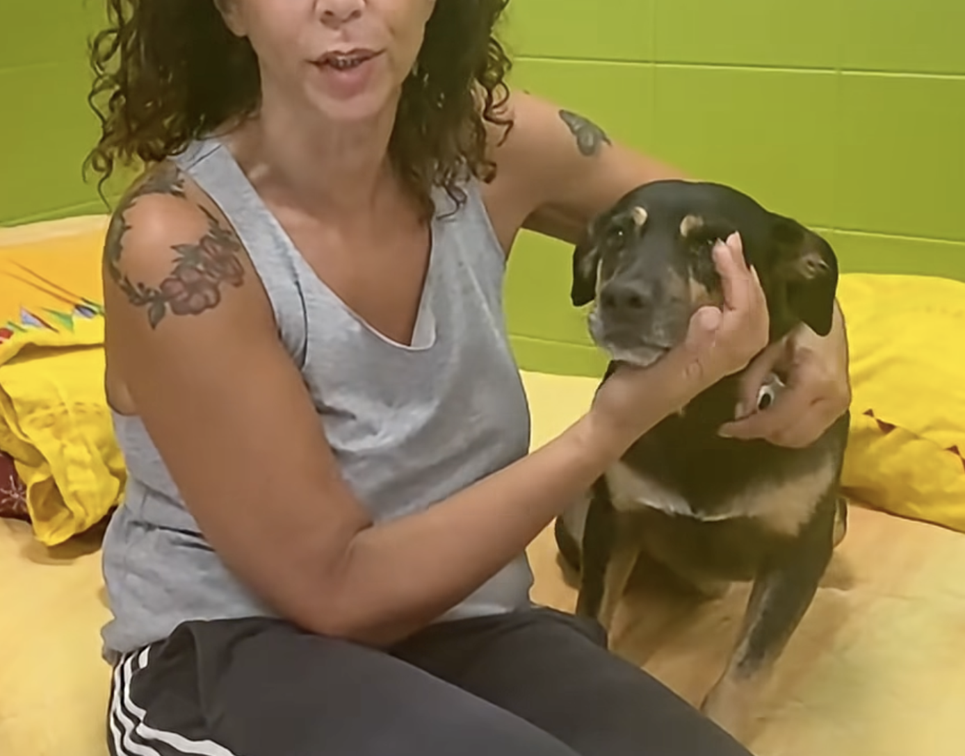 Diego, il cane che inseguì l’ambulanza: il pre-affido a Roma