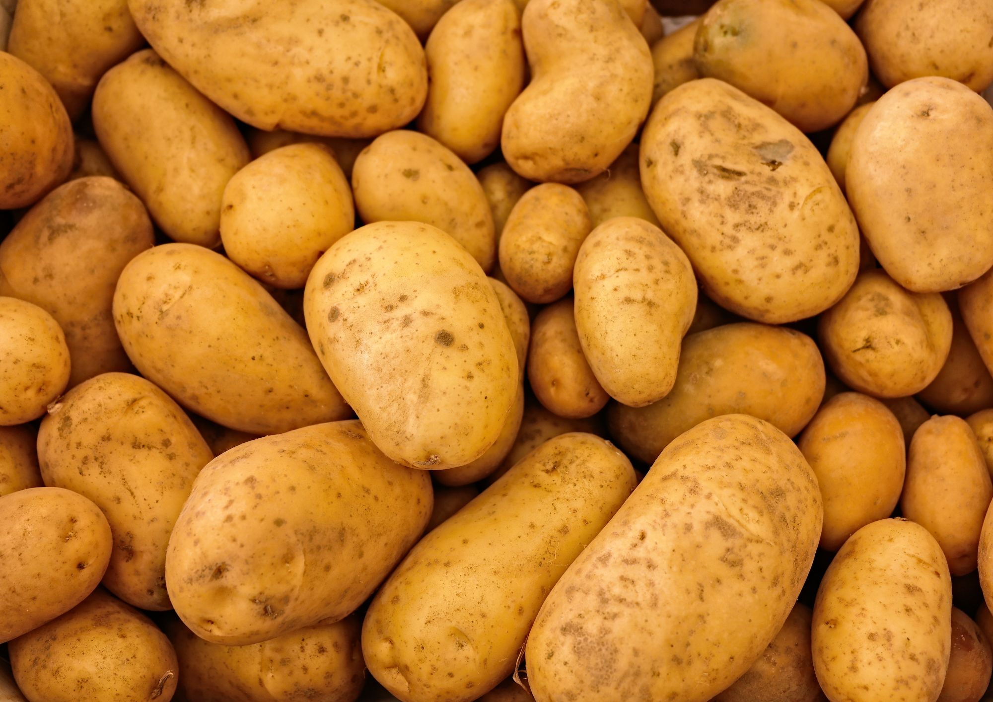 Idee per la cena con le patate: tre ricette facili e gustose