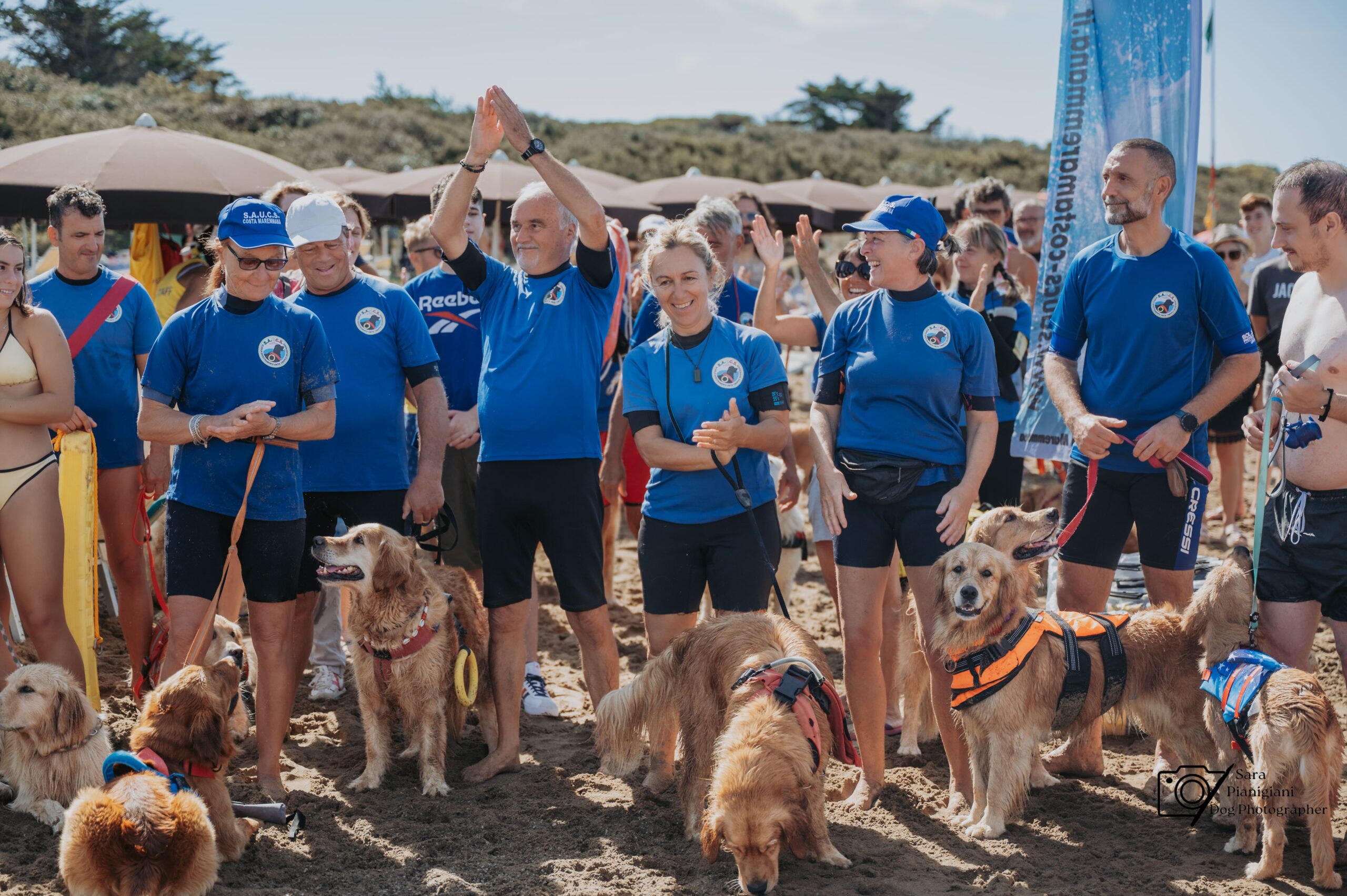 Raduno di Golden Retriever a San Vincenzo: oltre 120 cani per solidarietà e divertimento