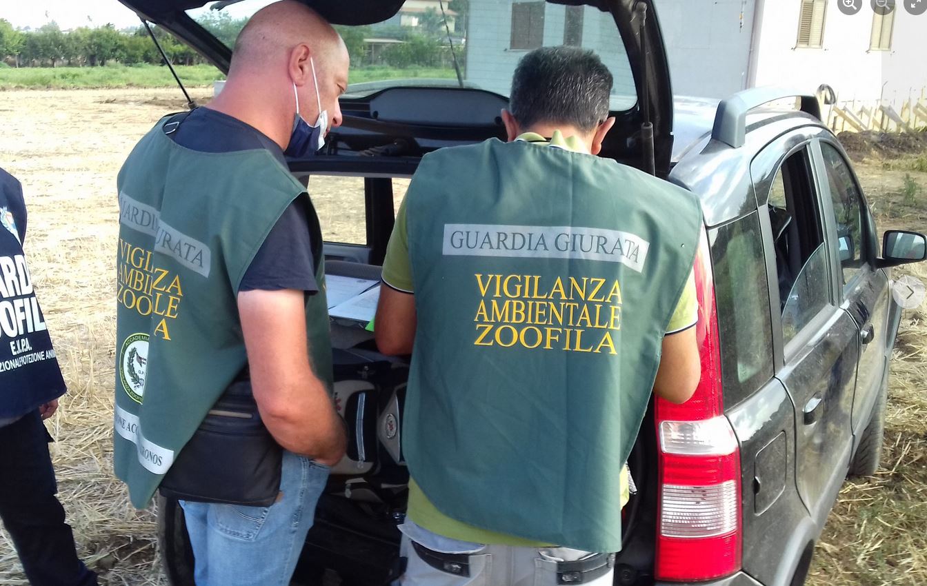 Eboli, 38 cani tra rifiuti ed escrementi: denunciati due coniugi