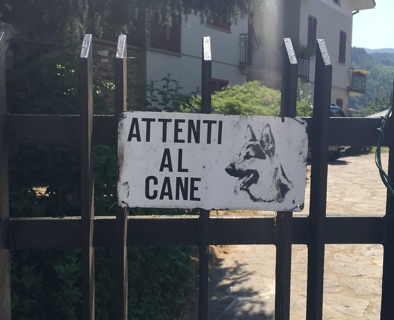 Tentato furto tra Casal Velino e Castelnuovo: cane mette in fuga i ladri