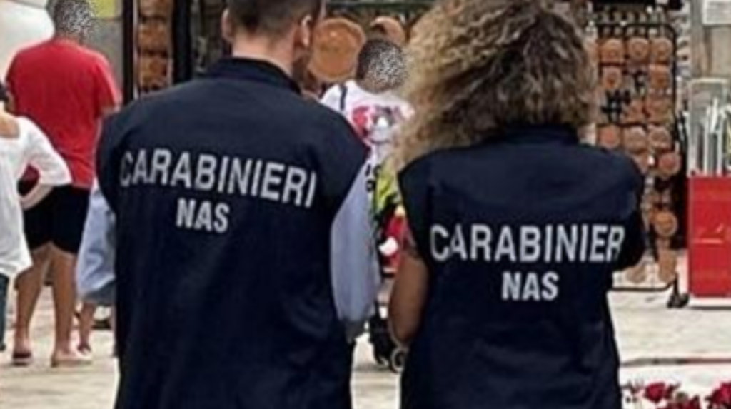 Dai lavoratori in nero agli insetti nei locali: la stretta dei Nas su panifici e caseifici nel Salernitano