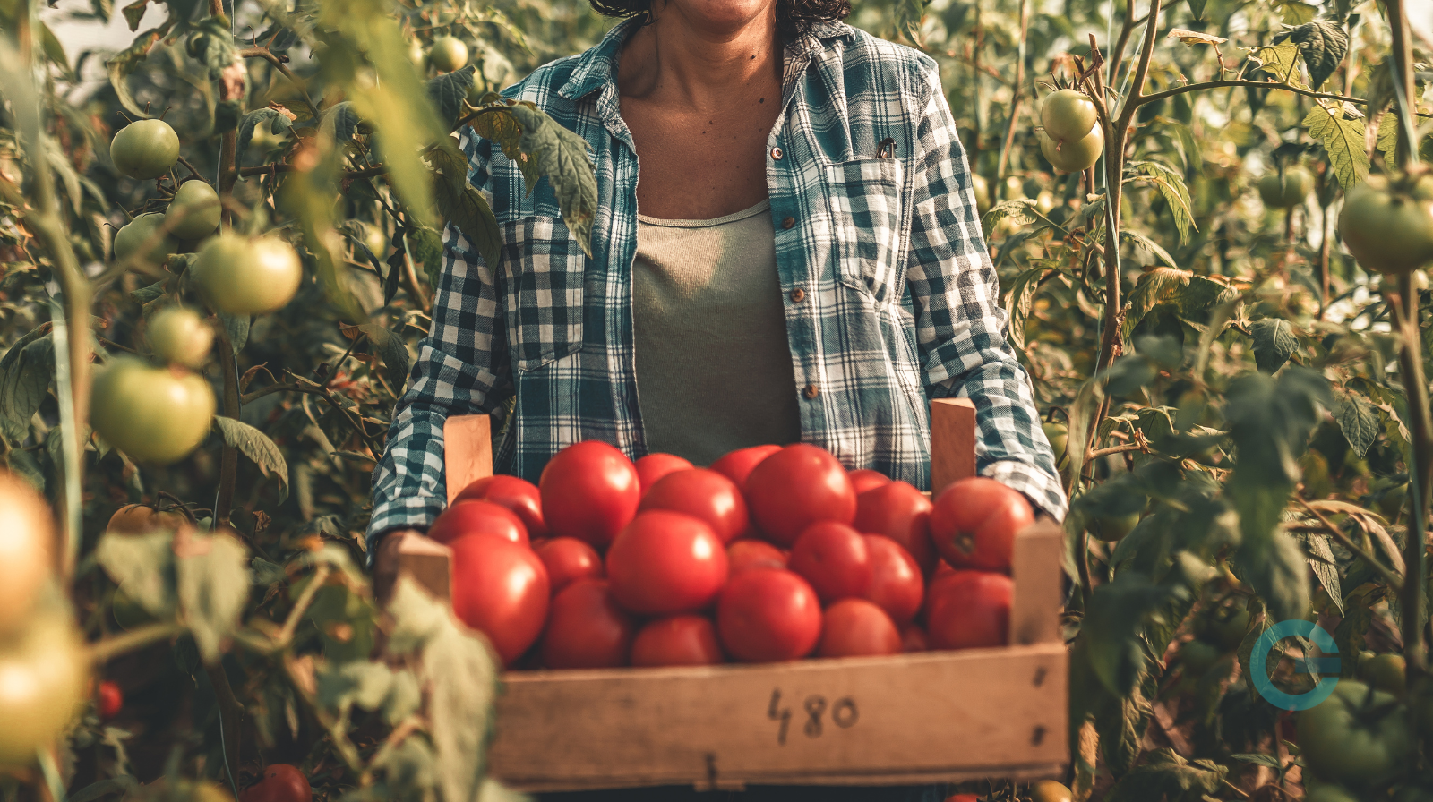 Cibo e dintorni, CIA Campania a Salerno con due appuntamenti dedicati a donne, agricoltura e territori
