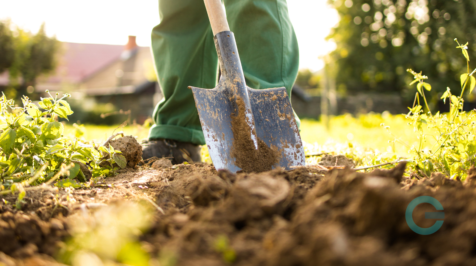 Aiuti contro il caro fertilizzanti, soddisfatta Coldiretti Campania