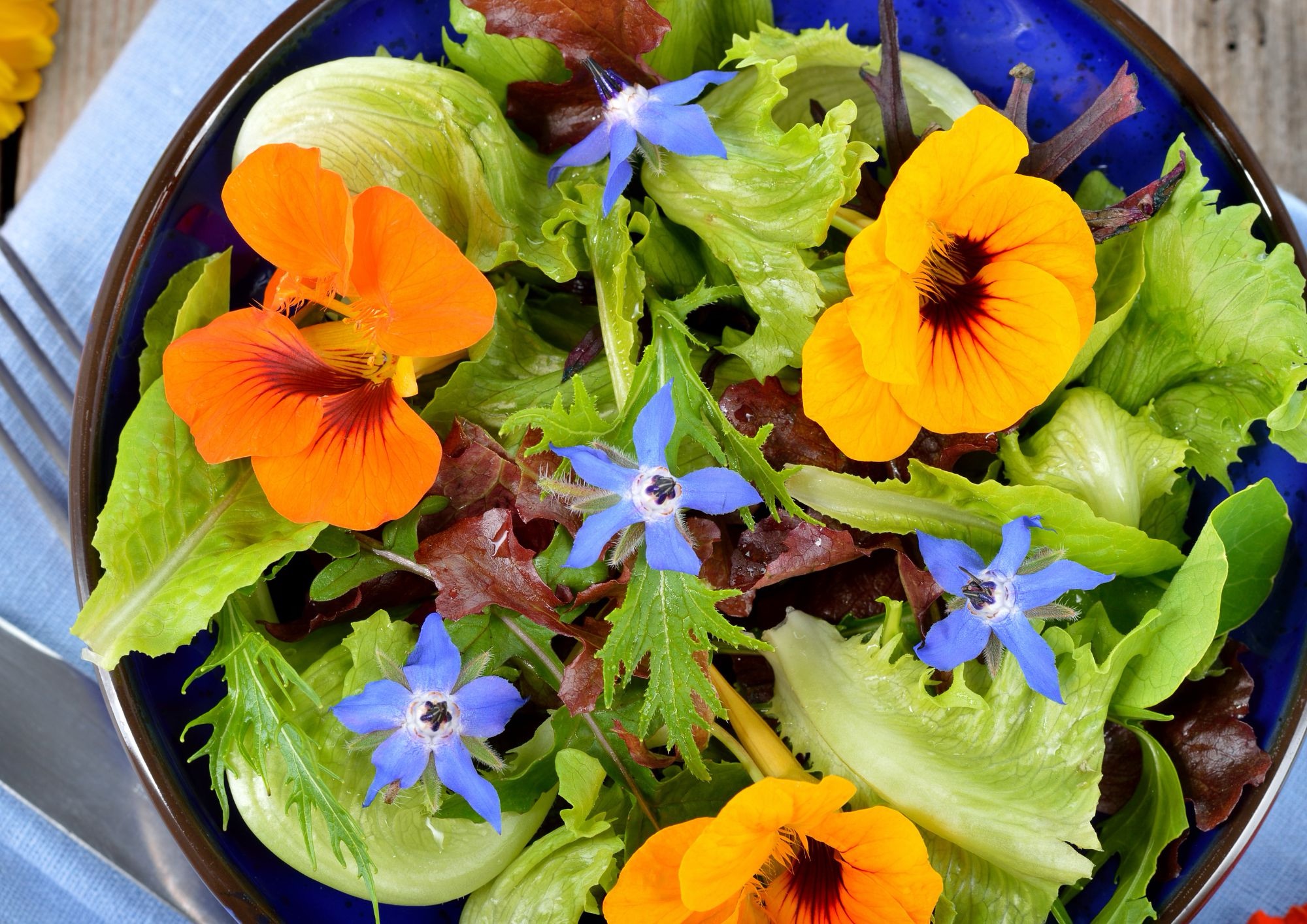 Fiori nel piatto, quali si possono mangiare: dalla viola al nasturzio