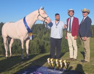 Da Agropoli alla conquista dell’Europa: la Scuderia Top America e lo stallone EM Awesome Imprint trionfano all’Euro Paint 2026