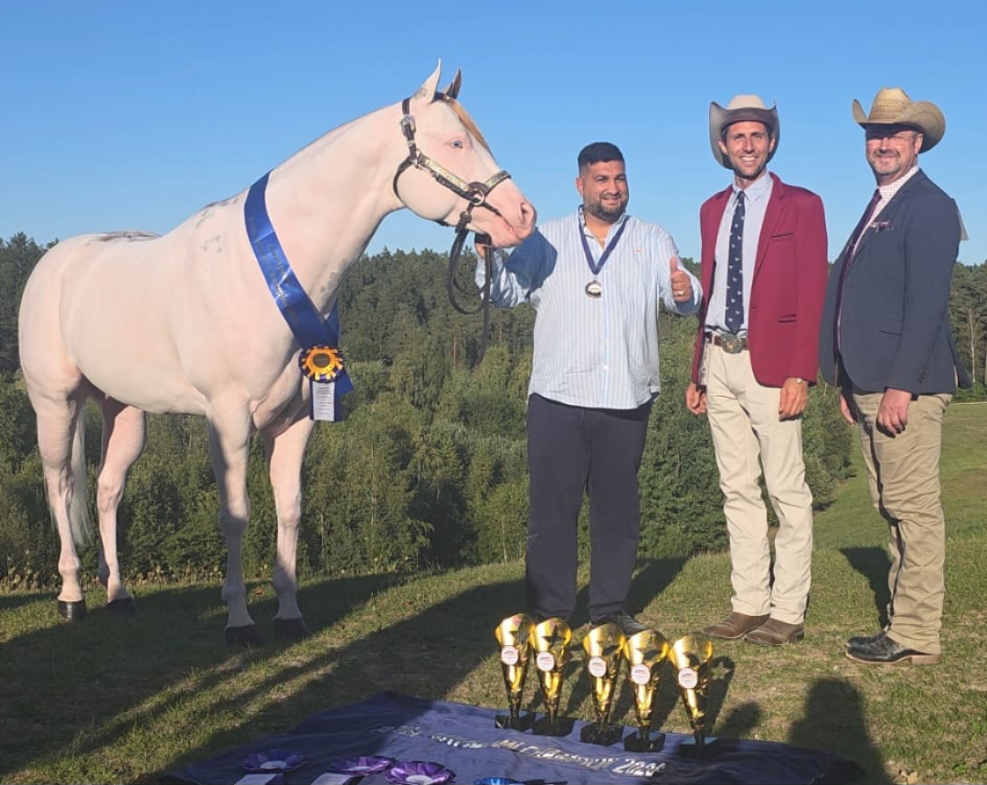 Da Agropoli alla conquista dell’Europa: la Scuderia Top America e lo stallone EM Awesome Imprint trionfano all’Euro Paint 2026