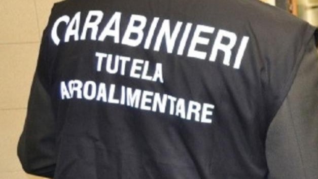 Montesano sulla Marcellana, sequestro di olio e olive in un frantoio per mancata tracciabilità