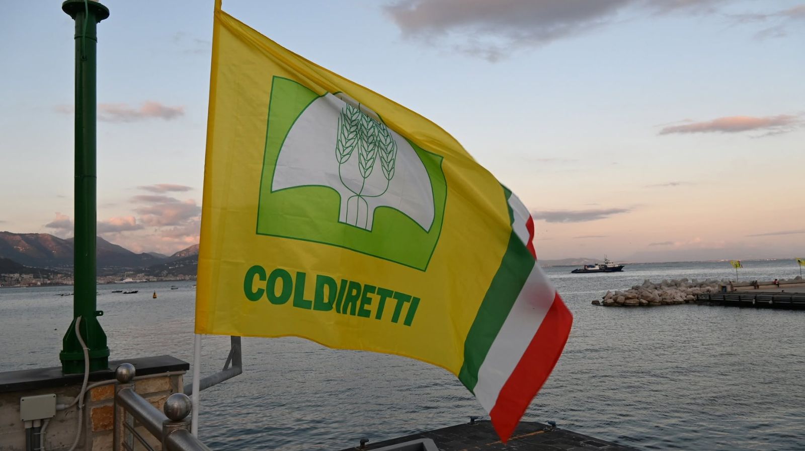 Pesca: a Cetara confronto europeo sul futuro del tonno rosso