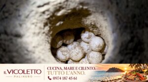 Ascea, luci a misura di tartaruga: così il Cilento protegge i nidi di Caretta caretta