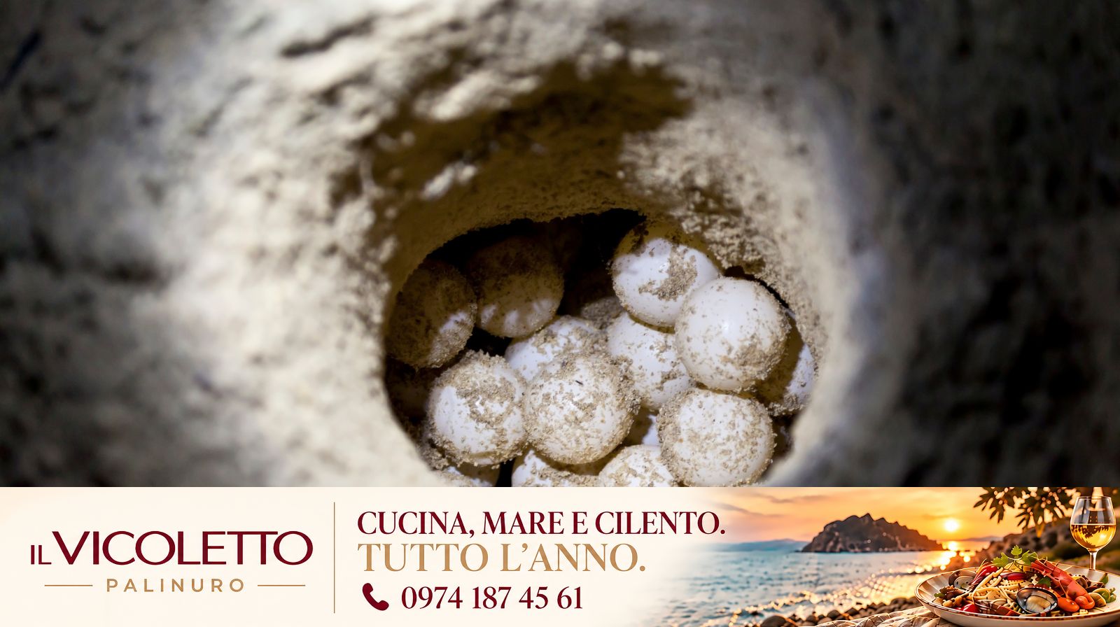 Ascea, luci a misura di tartaruga: così il Cilento protegge i nidi di Caretta caretta