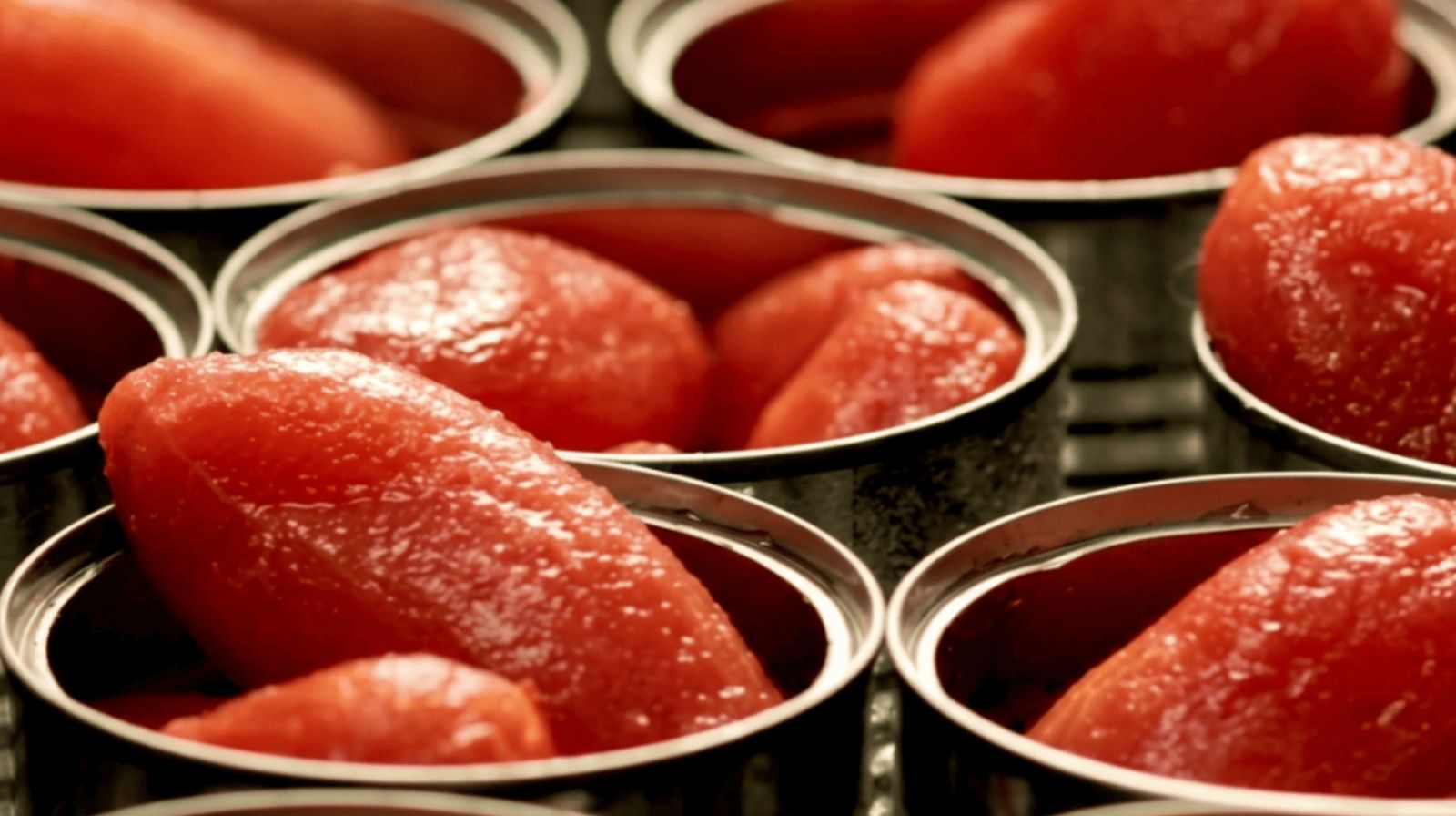 Pomodoro Show, al via il concorso nazionale per giovani cuochi nel ricordo di Cutolo e Rega