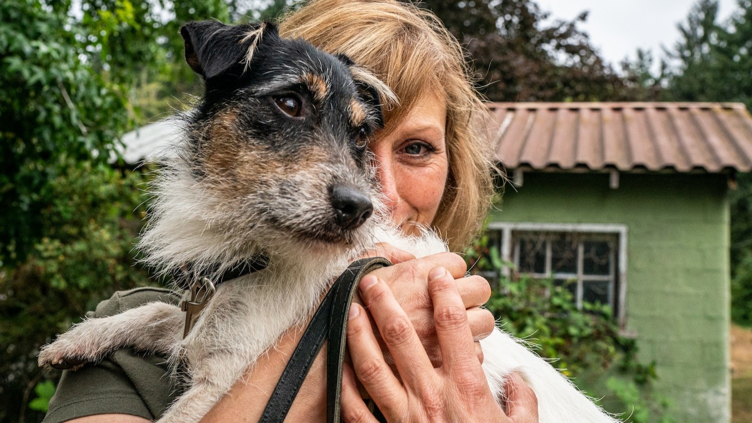 Altro che Rex e Rin Tin Tin: in Campania il nome per cane più scelto è Leo