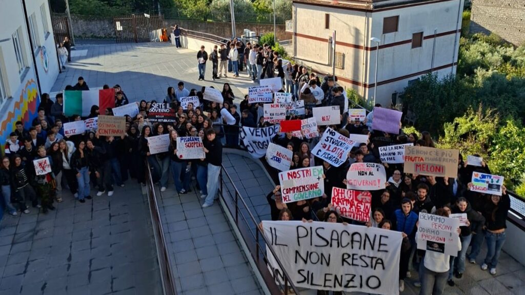 “No caro vita, studenti in lotta” è lo slogan delle manifestazioni studentesche nel Vallo di Diano