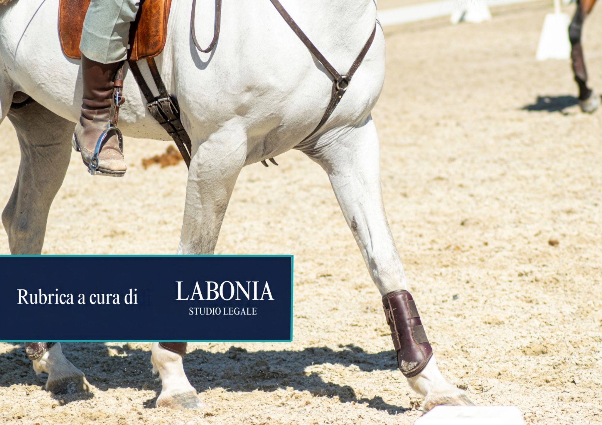 Ubriaco a cavallo, fermato dalla Polizia: cosa rischia davvero? E la patente può essere sospesa?