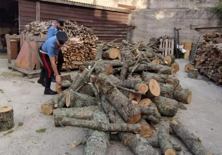 Arrestato a Giffoni Valle Piana per il maxi furto di legna nel Parco dei Monti Picentini
