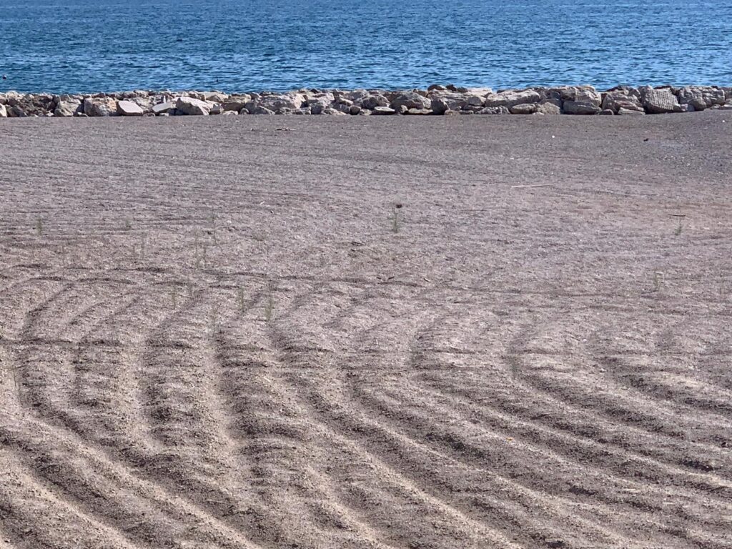 Salerno, cresce l’erba sulla spiaggia chiusa di Universo Beach