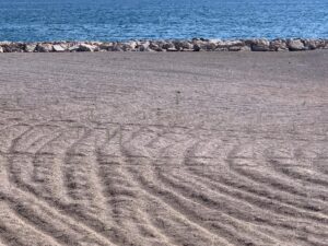 Salerno, cresce l’erba sulla spiaggia chiusa di Universo Beach