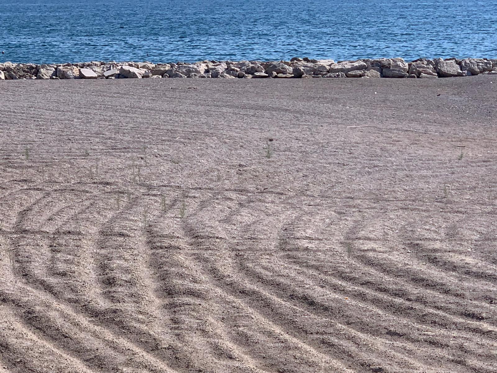 Salerno, cresce l’erba sulla spiaggia chiusa di Universo Beach