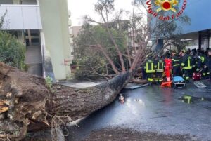 Fisciano, studenti travolti da un albero nel campus: tre persone a giudizio