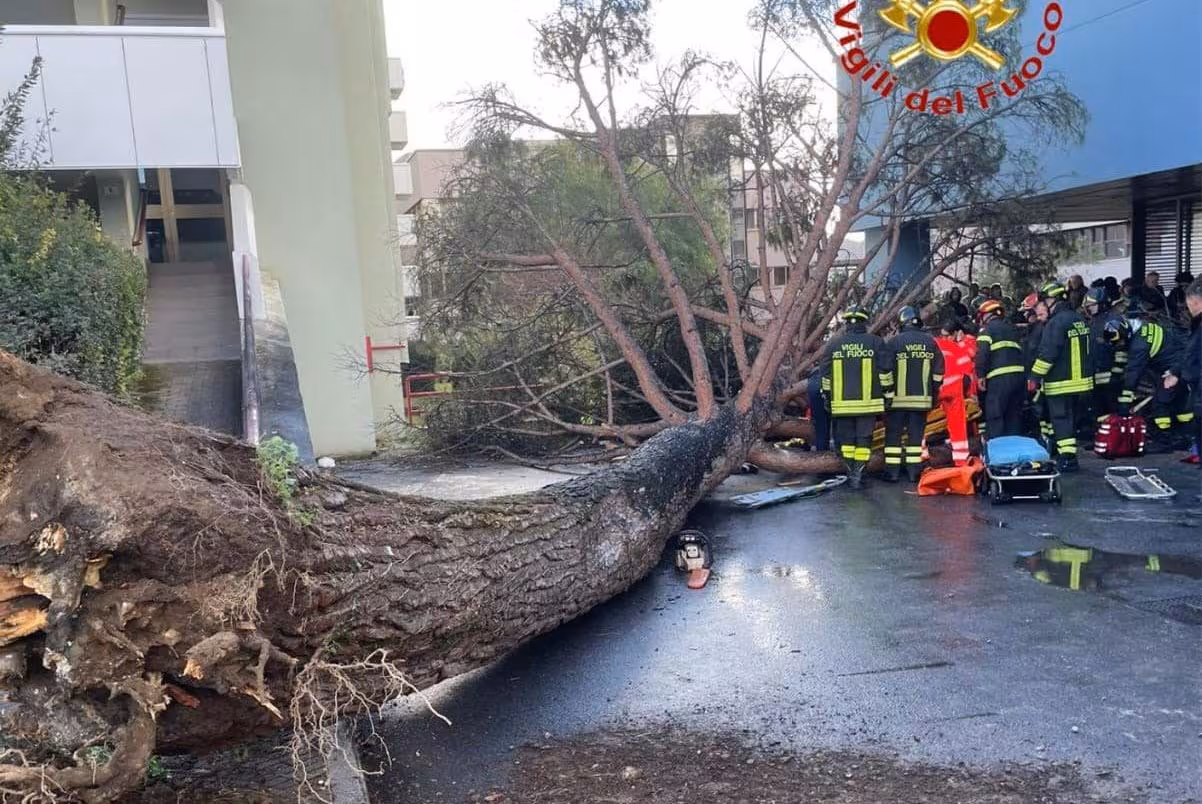 Fisciano, studenti travolti da un albero nel campus: tre persone a giudizio