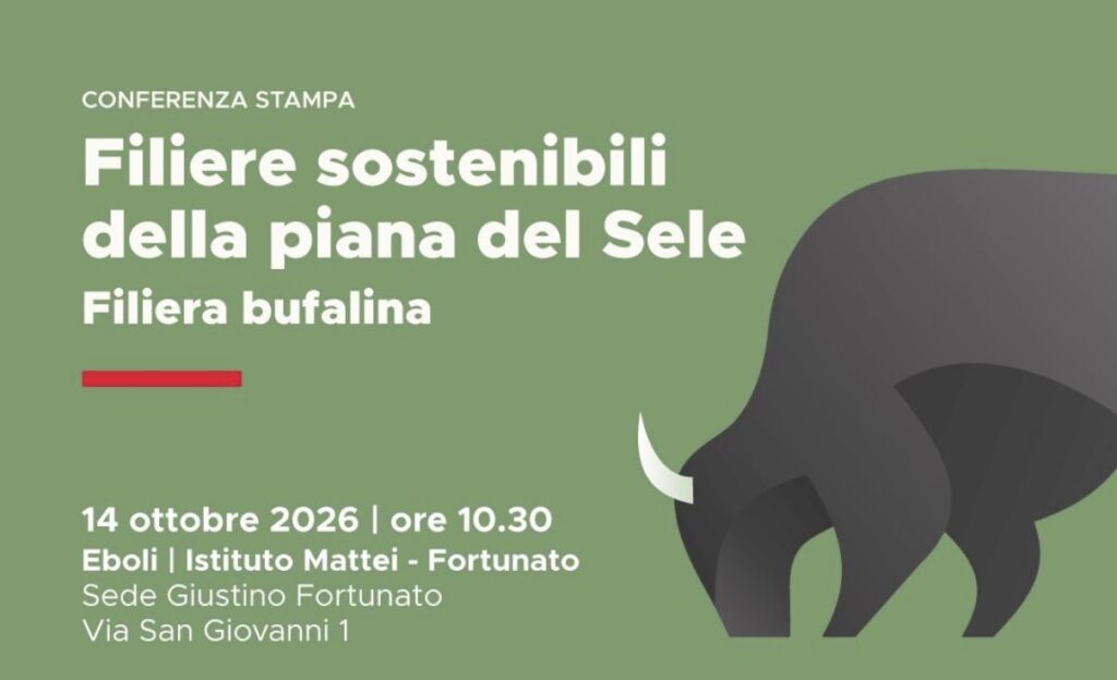 Filiera bufalina e sostenibilità: il 14 ottobre a Eboli un confronto sul futuro della Piana del Sele