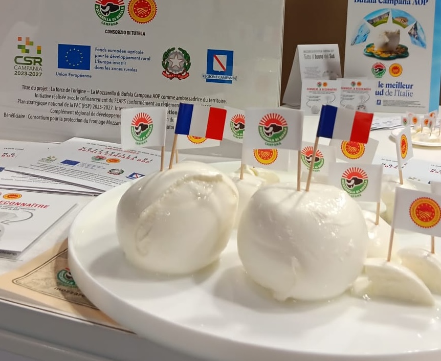 Mozzarella di Bufala Dop, Francia mercato strategico: Consorzio di Tutela protagonista al Sial di Parigi